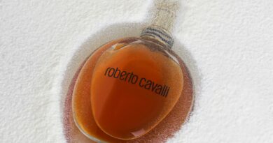 Addio a Roberto Cavalli, lo stilista anticonformista