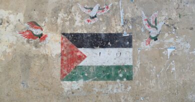 disegno della bandiera palestinese e di tre colombe in alto raffigurate con i colori della bandiera